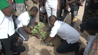 BOP THIOR : Des étudiants de l'UGB ont planté 126 arbres dont 84 fruitiers sur l’île