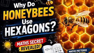 Hexagonal numbers pattern||how to find any hexagonal number||