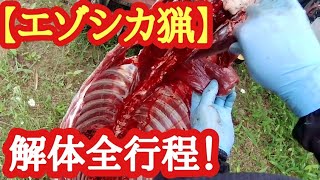 【エゾシカ猟】解体全て見せます！閲覧注意！初心者必見！