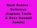 bush babies delicious captain tinrib u0026 dave randall remix