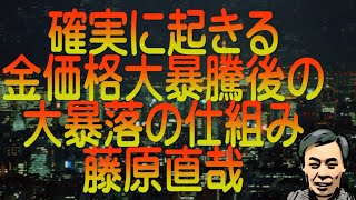 【ゆっくり解説】確実に起きる金価格大暴騰後の大暴落の仕組み 藤原直哉