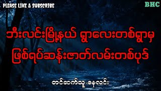 ဘီးလင်းမြို့နယ် ရွာလေးတစ်ရွာမှ ဖြစ်ရပ်ဆန်းဇာတ်လမ်းတစ်ပုဒ်#ပရလောက #audiobook #ghost