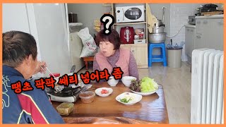 [철구엄마] 자갈치시장 곰장어볶음 만드는법! 잔소리 하는 철구아빠와 함께 먹어봤어요