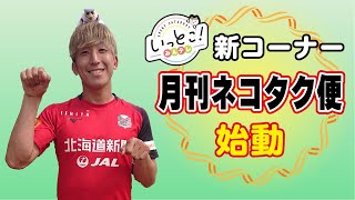 【いっとこ！】金子拓郎選手新コーナー”月刊ネコタク便”スタート