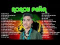 Best Of Nonoy Peña Cover Reggae Compilation 2022 - Nonoy Peña REGGAE MIX 2022✨DJ Mhark Ansale Remix