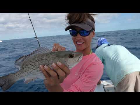 SNAPPER Fishing - YouTube