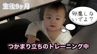 テーブルと椅子でつかまり立ちのトレーニングをする赤ちゃん #9ヶ月ベビー