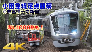 【鉄道】小田急線定点観察　参宮橋～南新宿間（赤い1000形もあるよ！）【4K 60fps】