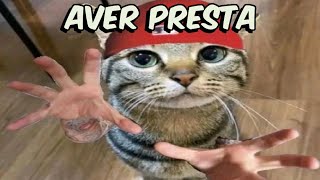 Shitposting Compilation V62