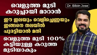 ഈ ഇലയും വെളിച്ചെണ്ണയും ഇങ്ങനെ തലയിൽ പുരട്ടിയാൽ മതി വെളുത്ത മുടി 100% കട്ടിയുള്ള  കറുത്ത മുടിയാകും