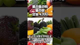 콜리플라워 효능