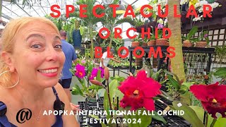 Apopka International Fall Orchid Festival 2024 at Krull Smith. This is what we got.