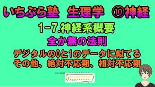 【いちぷら塾】生理学　10 神経　1-7 神経系概要　全か無かの法則　デジタルの０と１のデータに似ている　絶対不応期、相対不応期