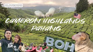 VISIT/TRAVEL |  Relaxing Trip to Cameron Highlands Pahang Malaysia Part 1