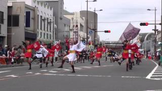 わいわい連☆特別賞＠2014　よさこい陣屋本陣祭・パレード