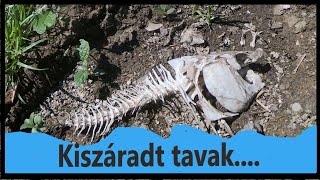 Kiszáradt tavak , Embercsempész autók