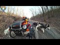 woofdriving bald eagle state forest strong mountain road 2.19.2020