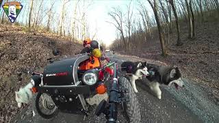 WooFDriving Bald Eagle State Forest - Strong Mountain Road - 2.19.2020