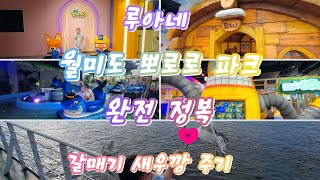 ⭐️뽀로로파크 월미도/🎠다양한 놀이기구와 공연 체험🎈/⭐️이용정보Tip/갈매기 🦐새우깡🦐