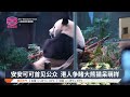 安安可可首见公众 港人争睹大熊猫呆萌样【2024.12.08 八度空间华语新闻】