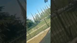 Suspect crashes through fence, runs over gravestones in Fresno, CA