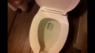 WDW Toilet Review American Standard 1.6 GPF