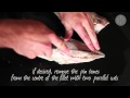 How to Fillet a Mackerel