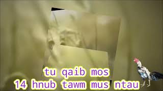 tu qaib sib ncaws 14 hnub