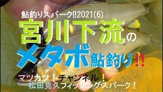 宮川下流のメタボ鮎釣り。鮎釣りスパーク!２０２１(６)