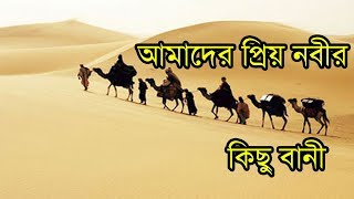 আমাদের প্রিয় নবীর কিছু বাণী । Some of our dear Prophet's words