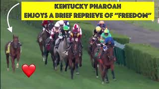Kentucky Pharoah DISRUPTS Belmont Stakes 6/5/21