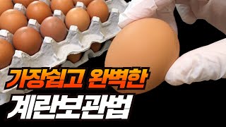 가장 쉽고 완벽한 계란보관법