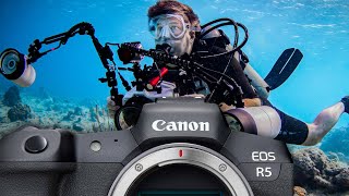 Canon R5 Specifications and Underwater Performance // Canon R5 A-Z