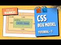 CSS Box Model Explained for Beginners EP 7 | Margin, Border, Padding & Content in HTML & CSS |