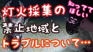 クワガタ灯火採集の禁止地域とトラブルについて【オオクワガタ】