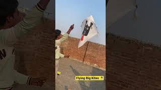 Kite Flying with monokite Gattu - kite fights - big kite - patangbaazi