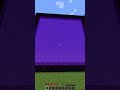 Minecraft: Biggest Nether Portal 😳 (World's Smallest Violin)