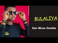 Bulaliya by Danmusa Gombe (Official Audio) @Miyyeti Allah Sound Villa