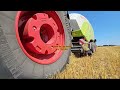 fendt 942 vario presst auf sonderwunsch ein paar mini stroh quaderballen mit claas 5200 fc quadrant