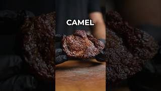 Dry Aged Camel