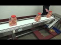 bmi stainless steel white flexlink belt conveyor demonstration