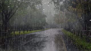 Sonido de Lluvia para un Sueño Profundo y Relajación Mental en 6 minutos - Lluvia Para Dormi, ASMR