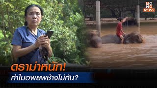 ดราม่า! แห่ตั้งคำถามแผนอพยพช้างไม่ทันท่วงที | ข่าวพร้อมบวก | 6 ต.ค. 67