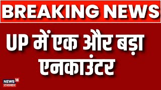 UP STF ने वांटेड क्रिमिनल Mohamad Gufran को एनकाउंटर में मार गिराया |Kaushambi Encounter News