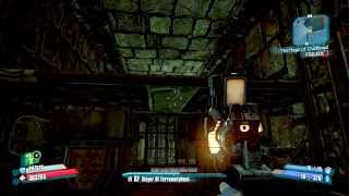Survive the crushing platform puzzle in the Lair of Infinite Agony in Borderlands 2 every time!