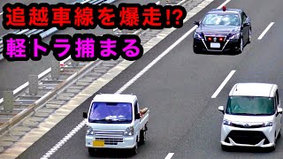 追い越し車線を爆走する軽トラ、覆面パトカーに捕まる‼️ 【サイレン 兵庫県警】