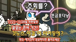 냥코대전쟁 한판일정11/21~11/28 초회를 지금?블티를 판다고?