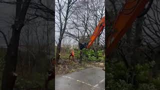 Grapple Grab 3 #treeremoval #treework