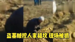 盜墓賊挖了河北保定村民家的祖墳，老人：八代祖墳他們挖了六代 #胡八一探秘古墓 #古墓 #古墓挖掘 #歷史謎團 #兵馬俑的奧秘