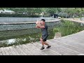 上海卢氏心意六合拳 摇闪把 xinyi martial art four way rooster